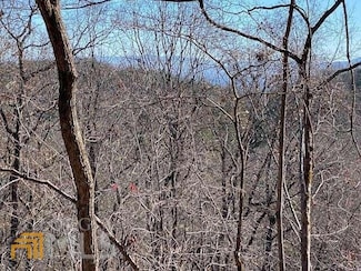 LT 5 Sunrock Mountain Trace Unit 5, Blue Ridge, GA 30513