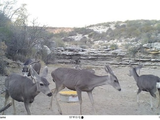 Tract 30 Indian Waterhole Ranch, Dryden, TX 78851