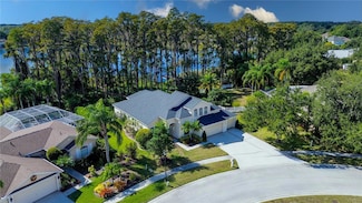 13815 Chandron Dr, Odessa, FL 33556