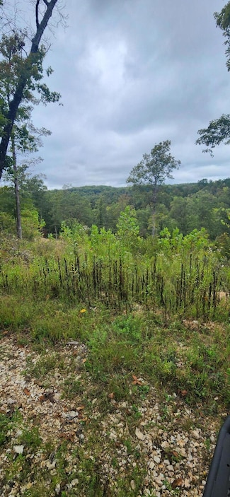 Tract 2 Bilyeu Creek Rd, Chadwick, MO 65629