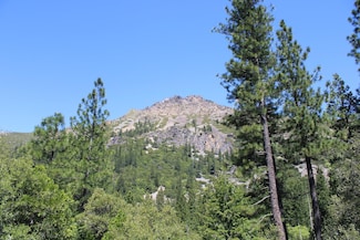 558 Brady Dr, Sierra City, CA 96125