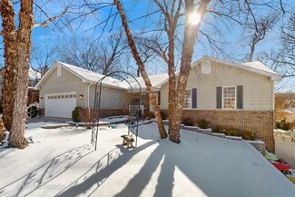 497 Elm Ridge Rd Unit 2, Carpentersville, IL 60110