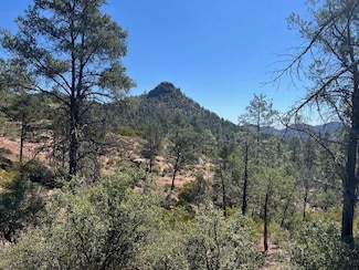 901 S Monument Valley, Payson, AZ 85541