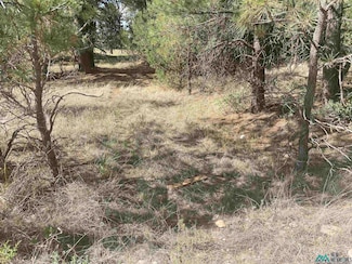 139 Eldorado Dr, Timberon, NM 88350