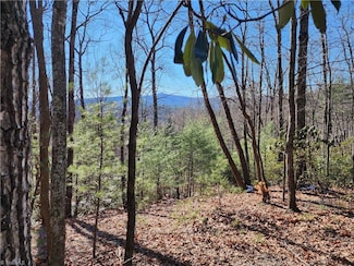 000 Mountain Vista Dr, McGrady, NC 28649