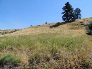 40920 Hillside Dr N, Davenport, WA 99122