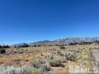 1847 Chestnut Ct, Gardnerville, NV 89410