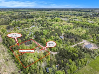 Lot 35 N Pine Ridge Dr, Amber Township, MI 49431