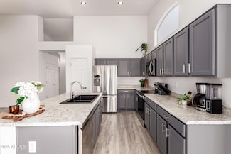 11622 W Palm Brook Dr, Avondale, AZ 85392