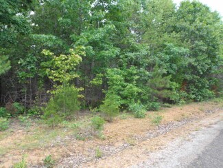 411 Neely Sharp Rd, Adamsville, TN 38310