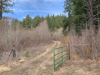 4639 Howard Hills Way, Loon Lake, WA 99148