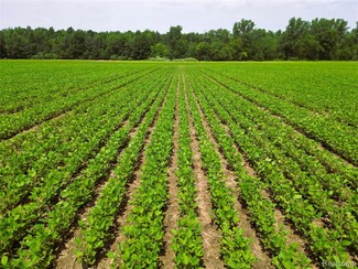 9654 Birch Run Rd, Arbela Township, MI