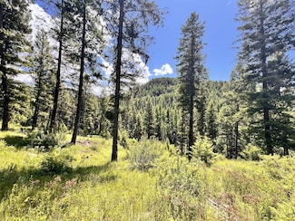 0 Tbd Old Kettle Falls Rd, Republic, WA 99166