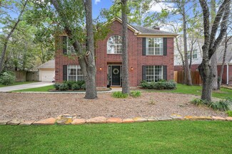 46 E Summer Storm Cir, Spring, TX 77381