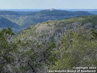 224 Private Road 1717, Mico, TX 78056