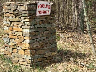 12 Woodland Heights Unit 12, Grantham, NH 03753