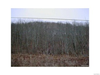 0 Trowbridge Rd Unit B1019402, Franklinville, NY 14737