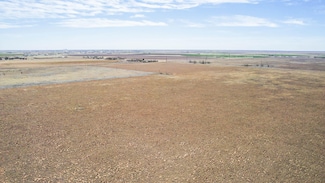 0 County Road 1038, Muleshoe, TX 79347