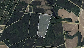 0 Mount Holly Rd, Norway, SC 29113