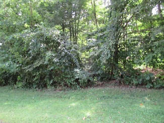 Tract #2 Deep Woods Dr, Lagrange Township, MI 49031