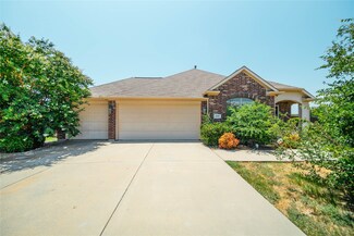 2100 Benjamin Creek Dr, Little Elm, TX 75068