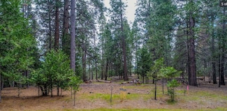 25594 Overland Dr, Volcano, CA 95689