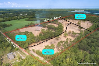Tract 1 - TBD County Road 4307, Larue, TX 75770