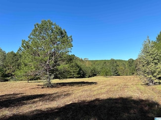 4434 County Road 86 Unit 1, Calera, AL 35040