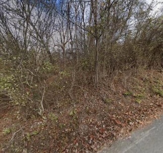 169 Dal Brown Rd, Chattanooga, TN 37405