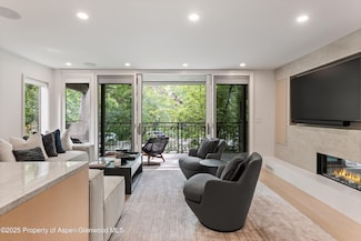 800 E Hopkins Ave Unit B5, Aspen, CO 81611