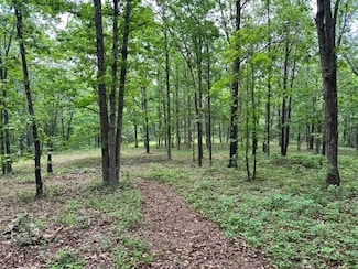 895 Ashwood Rd, Clinton, AR 72031