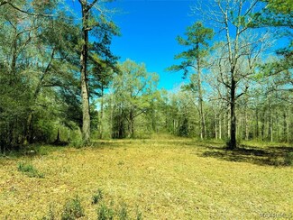 0 Highway 134 Unit 512434, New Brockton, AL 36351