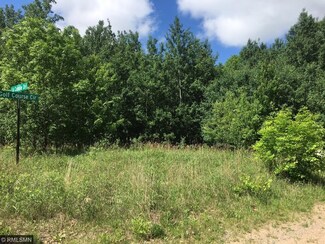 xxx W Lake Camile Dr, Randall, MN 56475