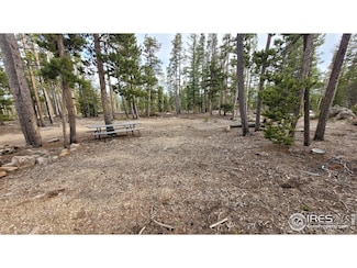 1421 Jicarilla Trail, Red Feather Lakes, CO 80545