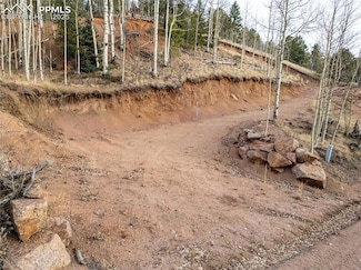 276 Granite Ln, Cripple Creek, CO 80813