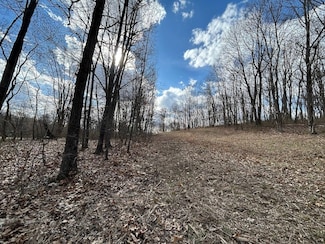 0 Buck Hill Rd Unit LotWWP001 23010814, Frazeysburg, OH 43822