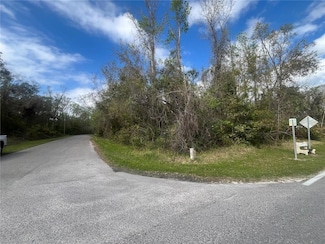 TBD Lake Dr, Moon Lake Estates, FL 34654