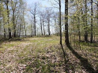 66535 County Road 533, Effie, MN 56639