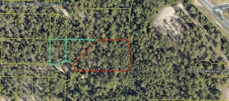 162 Honeysuckle St, Mossy Head, FL 32433