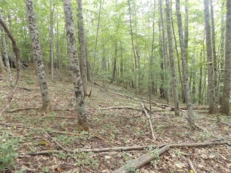 TBD Kanawha Ridge Rd, Dugspur, VA 24325