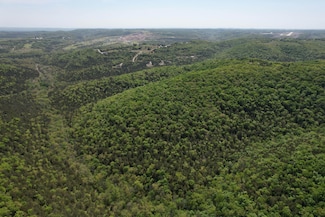 Tbd Carlton Rd, Oliver Township, MO 65672