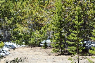 Group 12 Lamartine Rd Unit 6510, 12665, 12666,, Idaho Springs, CO 80452