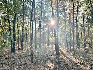 Tract 1 Benson Ln, Heavener, OK 74937