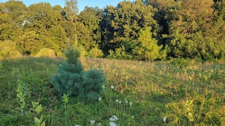 44702 56th Ave, Paw Paw, MI 49079