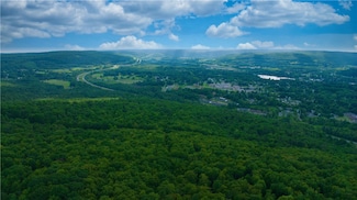 0 Pine Hill Rd, Sidney, NY 13838