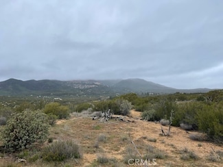 39459 Indian Rd, Anza, CA 92539