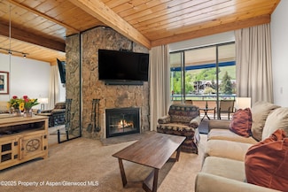 301 E Hyman Ave Unit 207, Weeks 35,36,48, Aspen, CO 81611