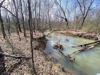 0 Highway 231 Unit Tract D - 15+/- AC, Ashville, AL 35953