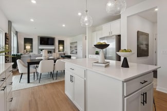 22525 Olivia Ct, Rogers, MN 55374