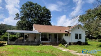 3829 Pope Ave, Steele, AL 35987